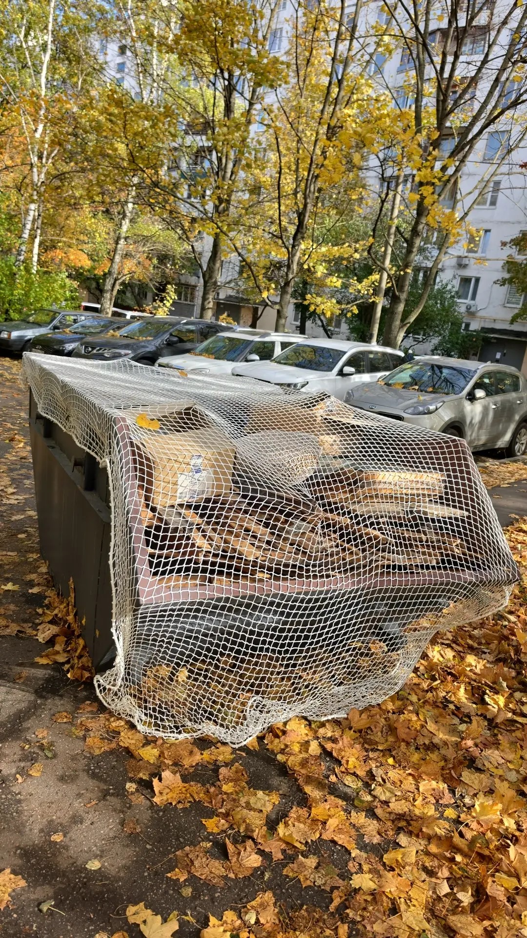 Загруженный контейнер, укрытый сеткой перед вывозом
